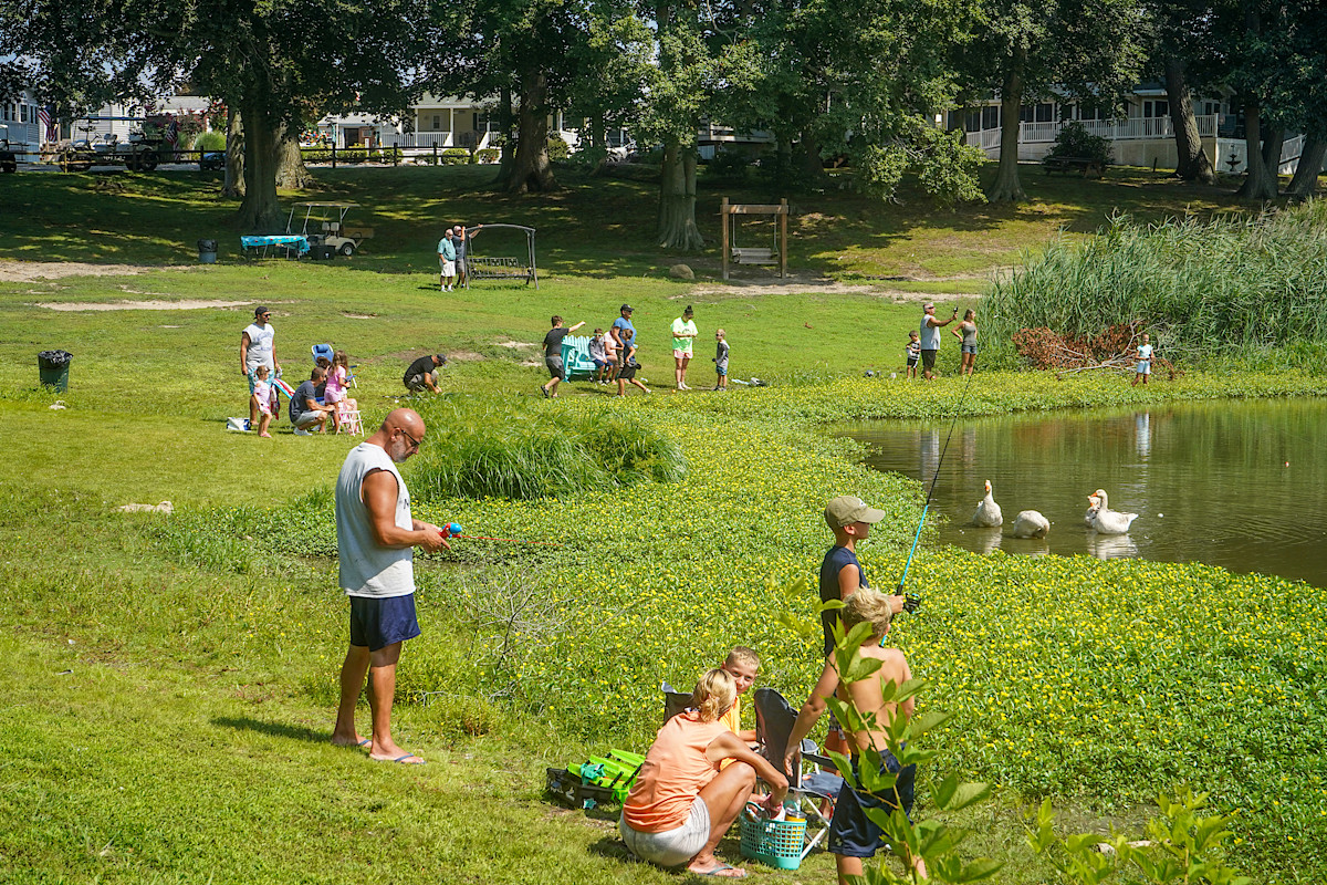 Fishing by the pond